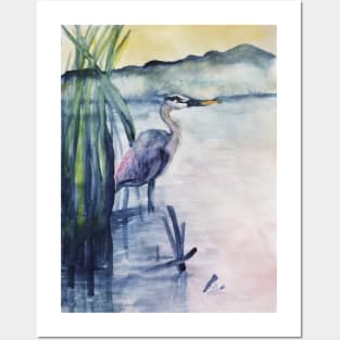 Blue heron Posters and Art